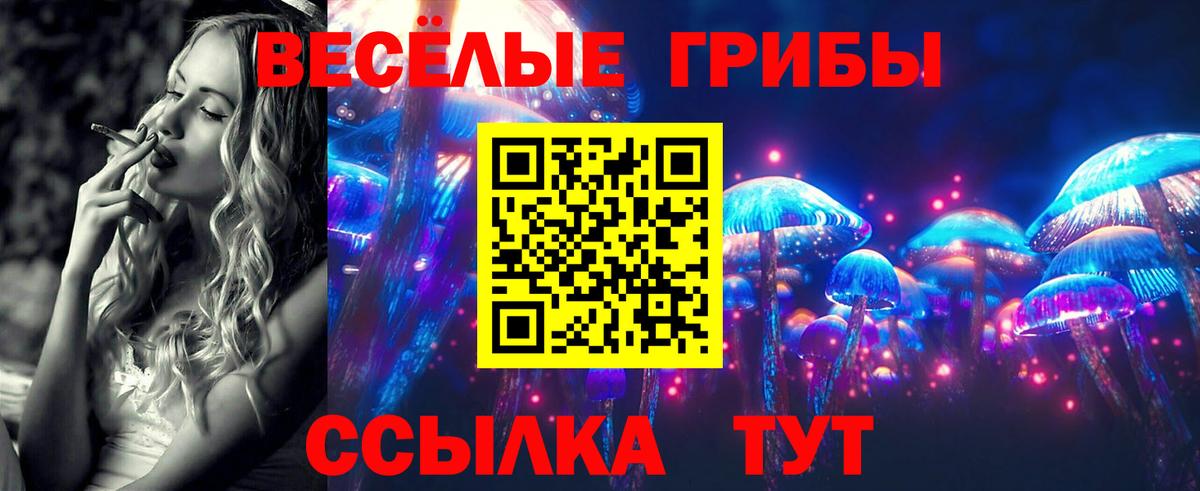 Галлюциногенные грибы Cubensis Электросталь