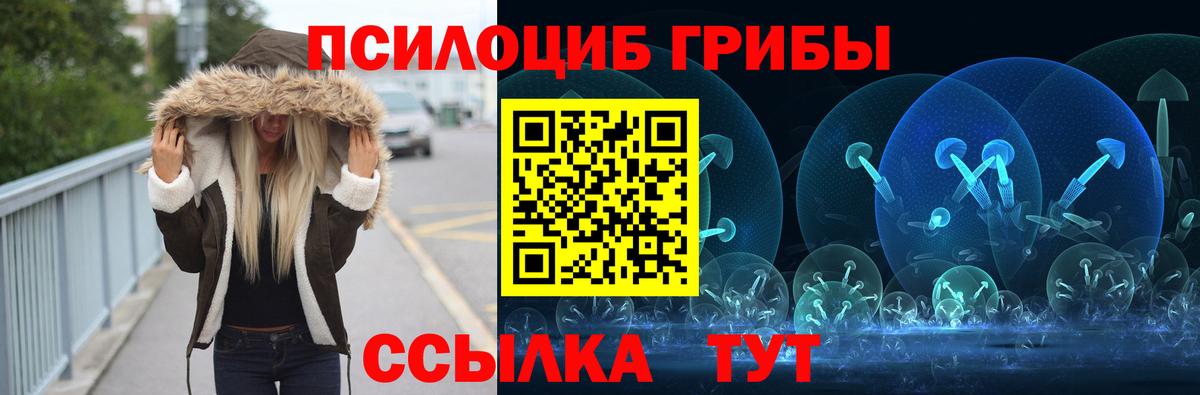 Псилоцибиновые грибы Psilocybe  Вход с VPN  Электросталь 